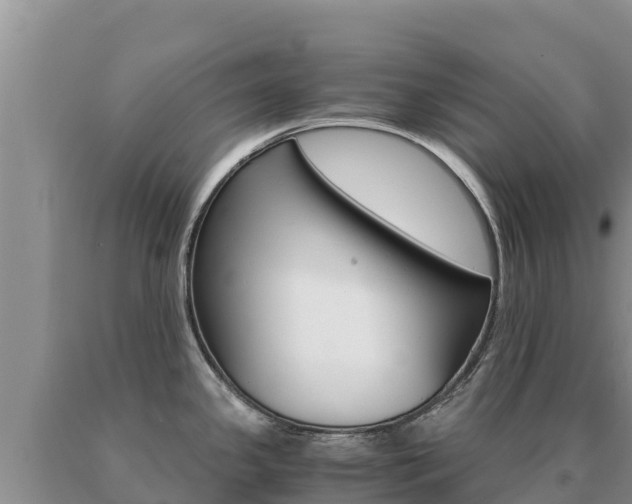 X0000091081341200708061037