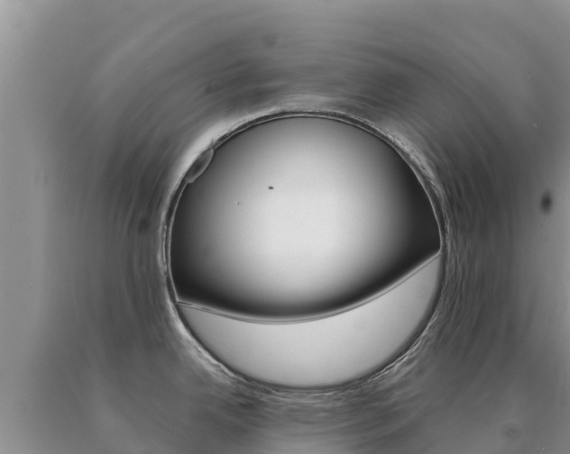 X0000091081342200708061037
