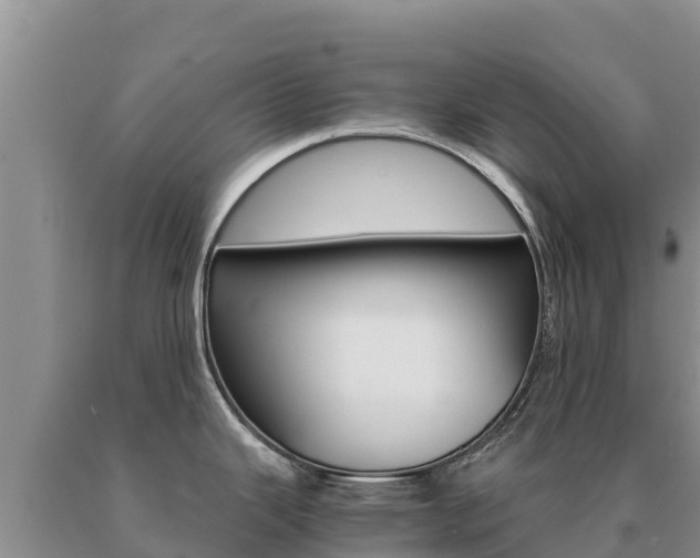 X0000091081343200708061037