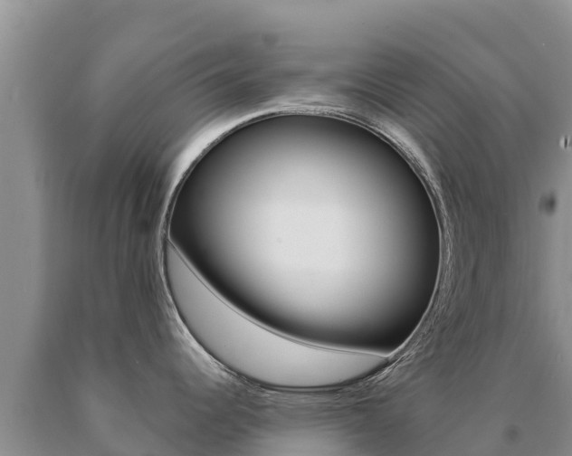 X0000091081344200708061037
