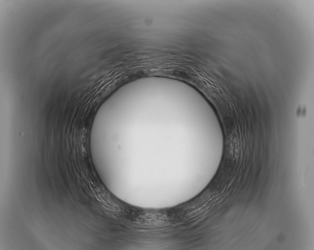 X0000091081346200708061036