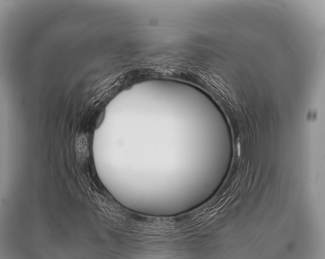 X0000091081347200708061036
