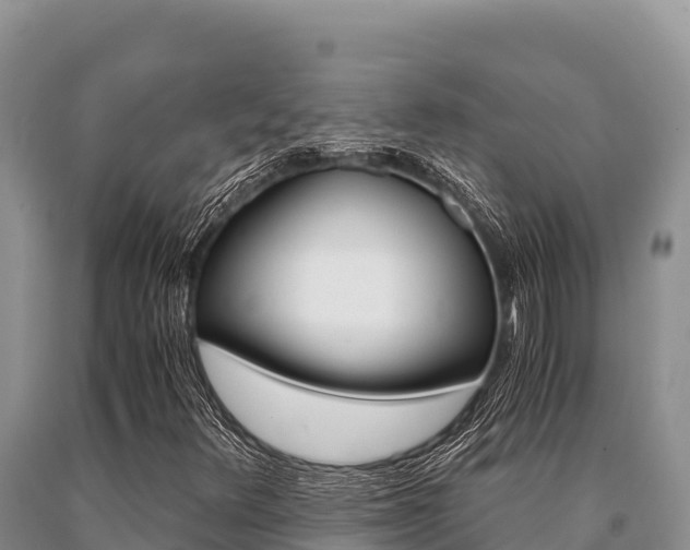 X0000091081348200708061036