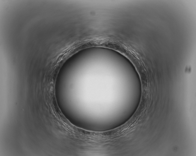 X0000091081349200708061036