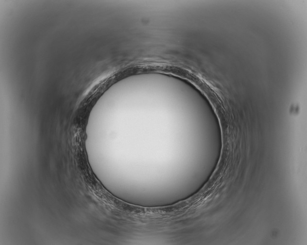 X0000091081351200708061036