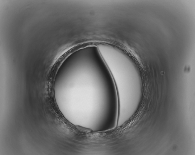 X0000091081352200708061036