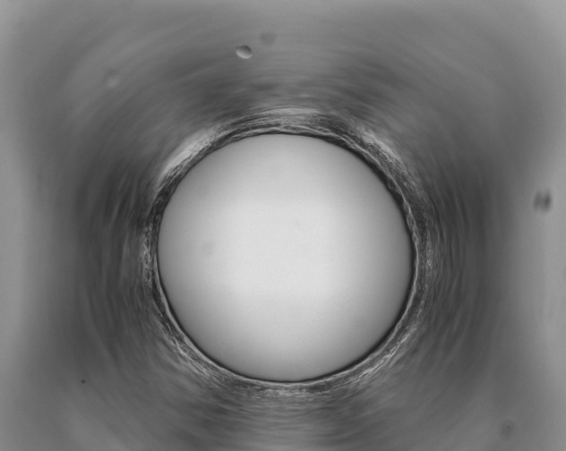X0000091081354200708061036