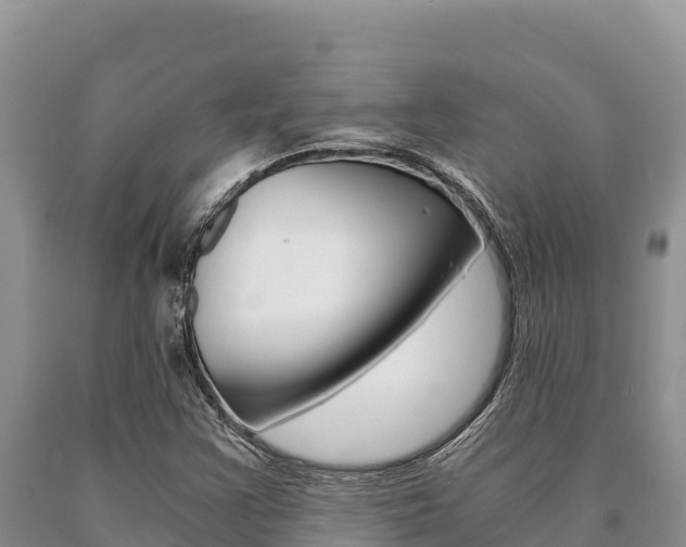 X0000091081355200708061036