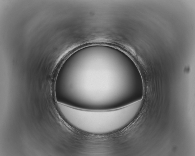 X0000091081356200708061036