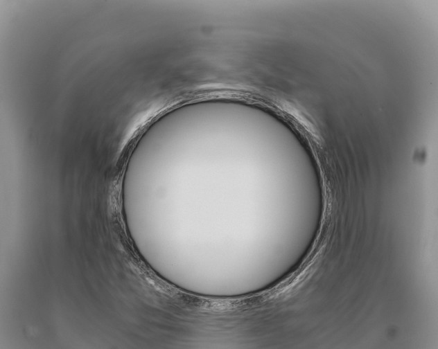 X0000091081357200708061036