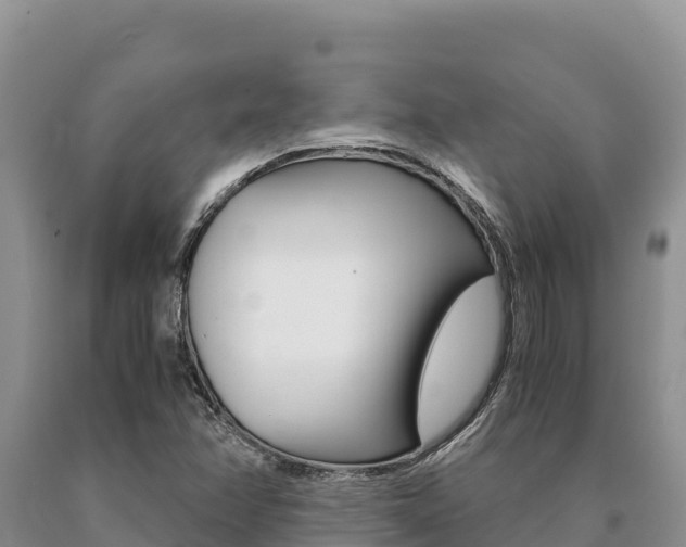 X0000091081358200708061036