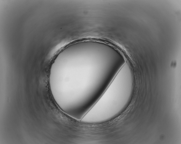 X0000091081359200708061036