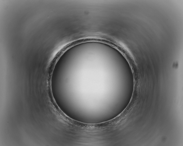 X0000091081360200708061036