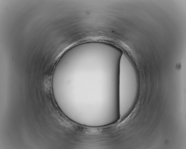 X0000091081361200708061036