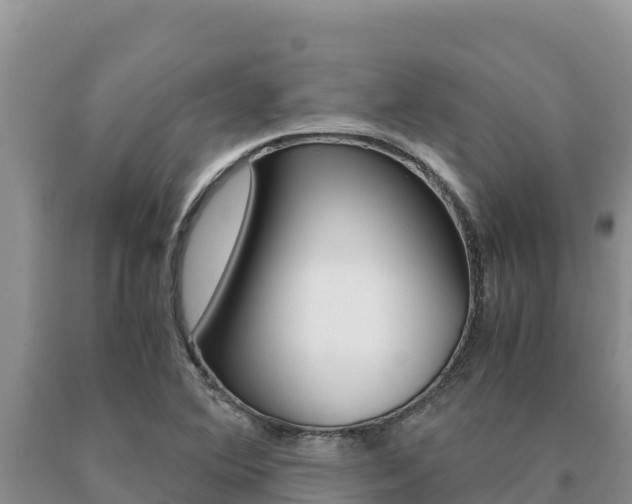 X0000091081364200708061036