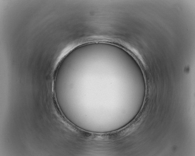 X0000091081365200708061036
