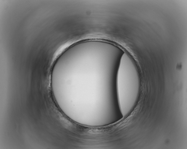 X0000091081366200708061036