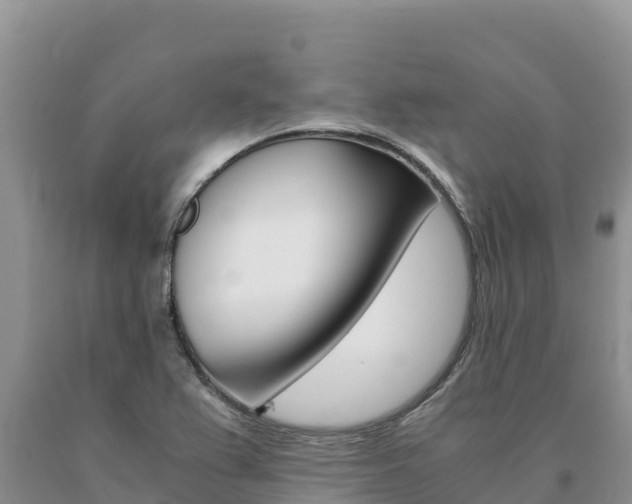 X0000091081367200708061036