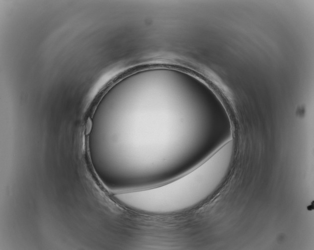 X0000091081368200708061036