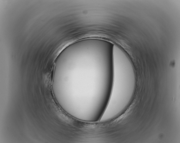 X0000091081369200708061036