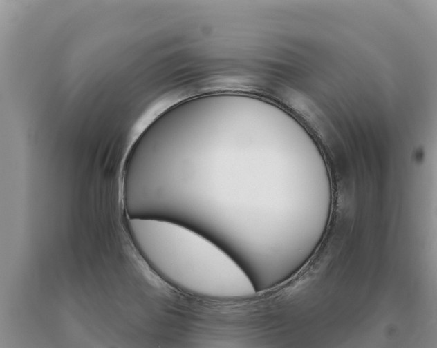 X0000091081370200708061036