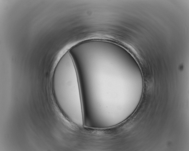 X0000091081371200708061036