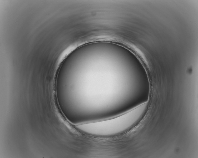 X0000091081373200708061036