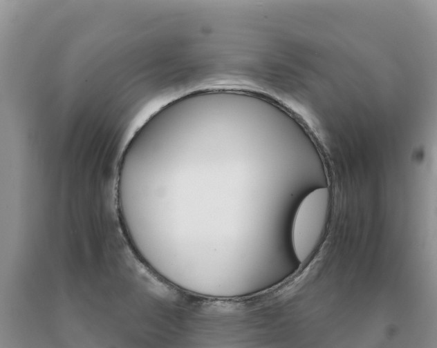 X0000091081374200708061036