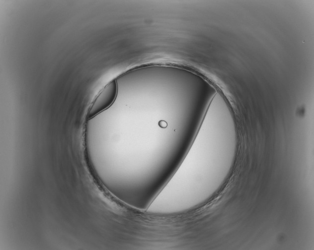 X0000091081375200708061036