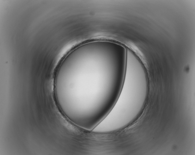X0000091081376200708061036
