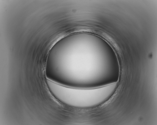X0000091081377200708061036