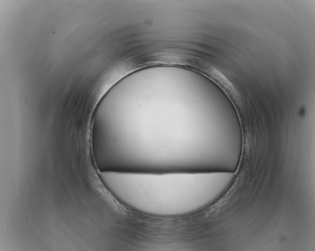 X0000091081378200708061036
