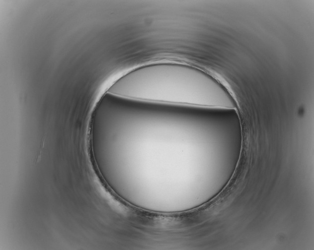 X0000091081379200708061036