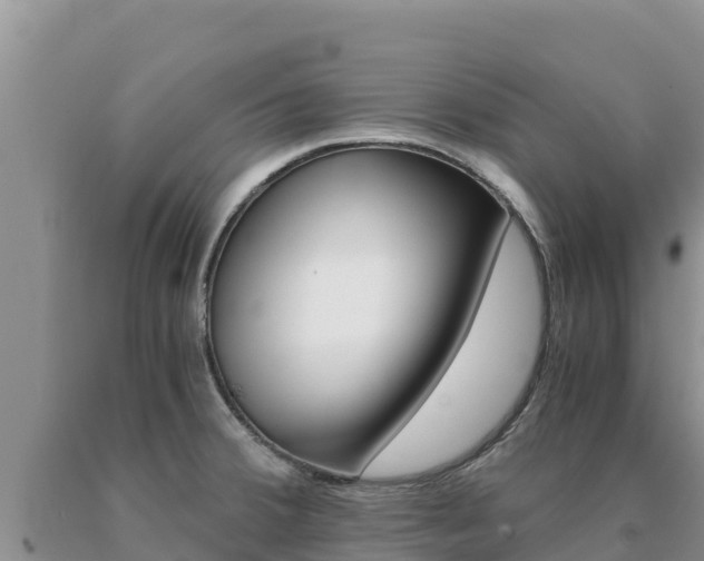 X0000091081380200708061036