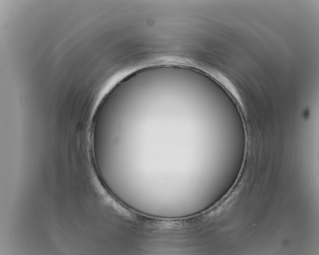 X0000091081381200708061036