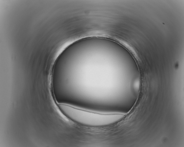 X0000091081383200708061036