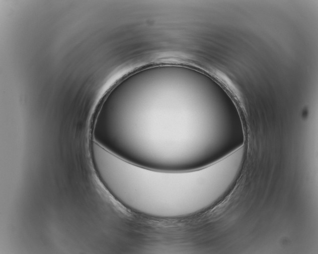 X0000091081384200708061036
