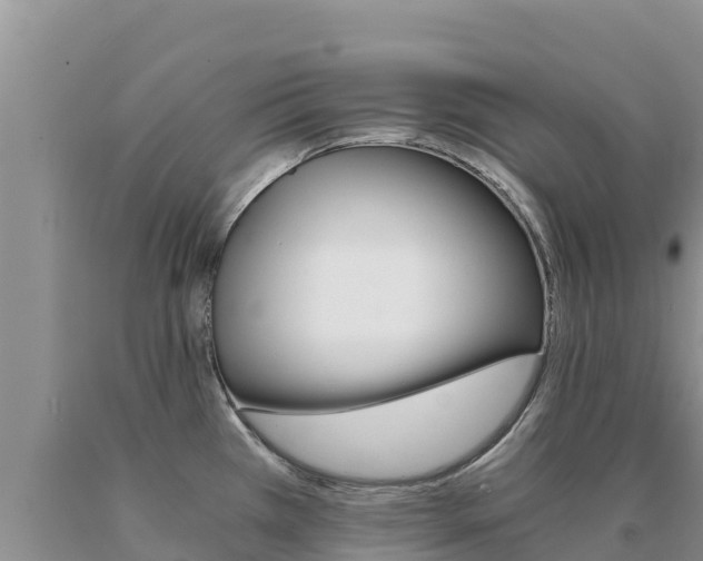 X0000091081385200708061036