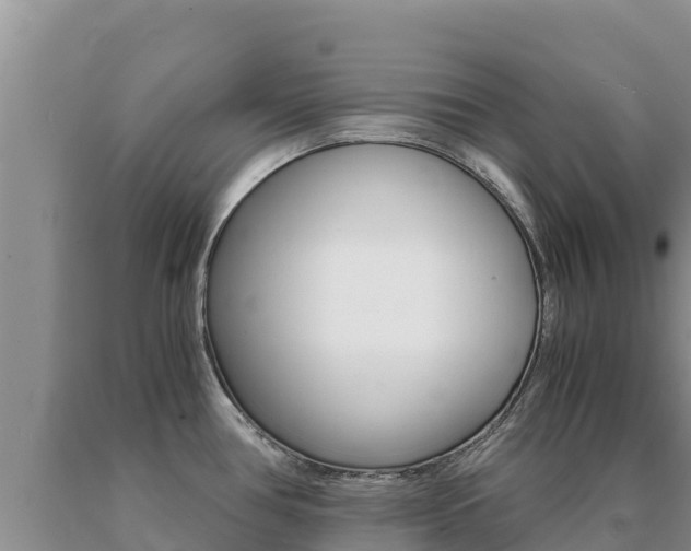 X0000091081386200708061036