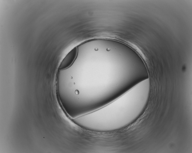 X0000091081387200708061036