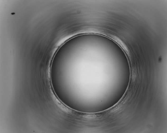 X0000091081388200708061036