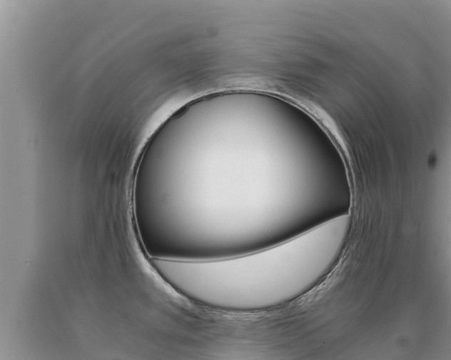 X0000091081389200708061036