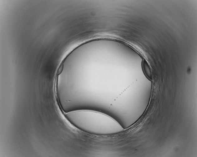 X0000091081391200708061036