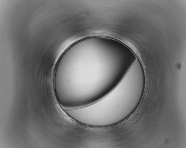 X0000091081392200708061035