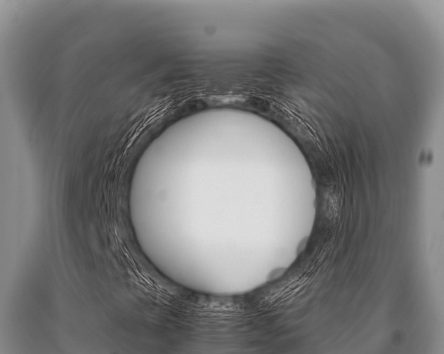 X0000091081393200708061035