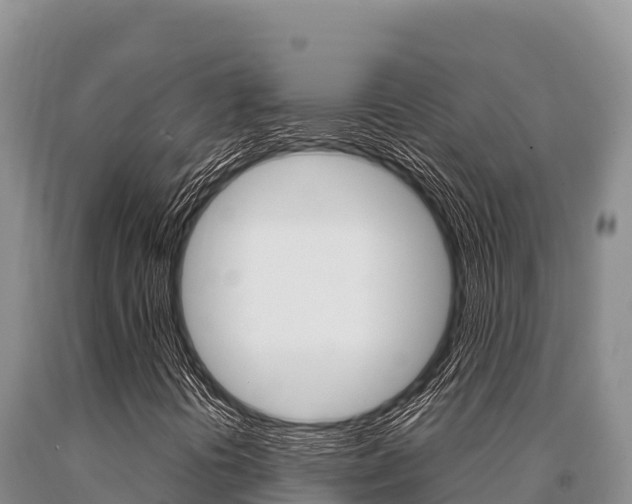 X0000091081394200708061035