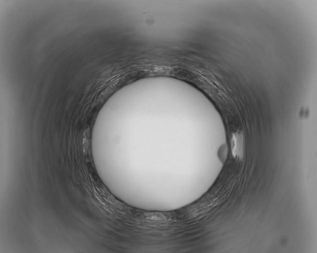 X0000091081395200708061035