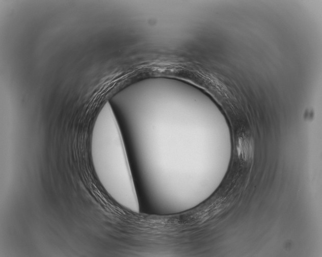 X0000091081396200708061035