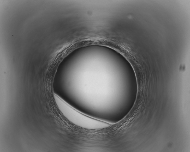 X0000091081398200708061035