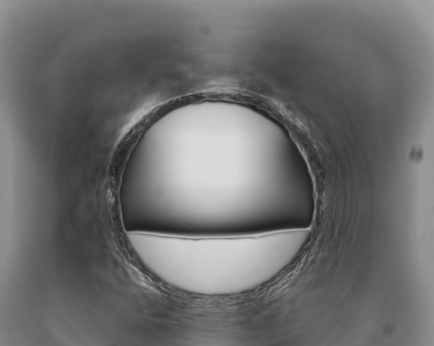 X0000091081400200708061035